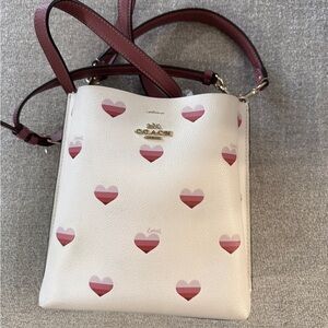 Coach bucket bag